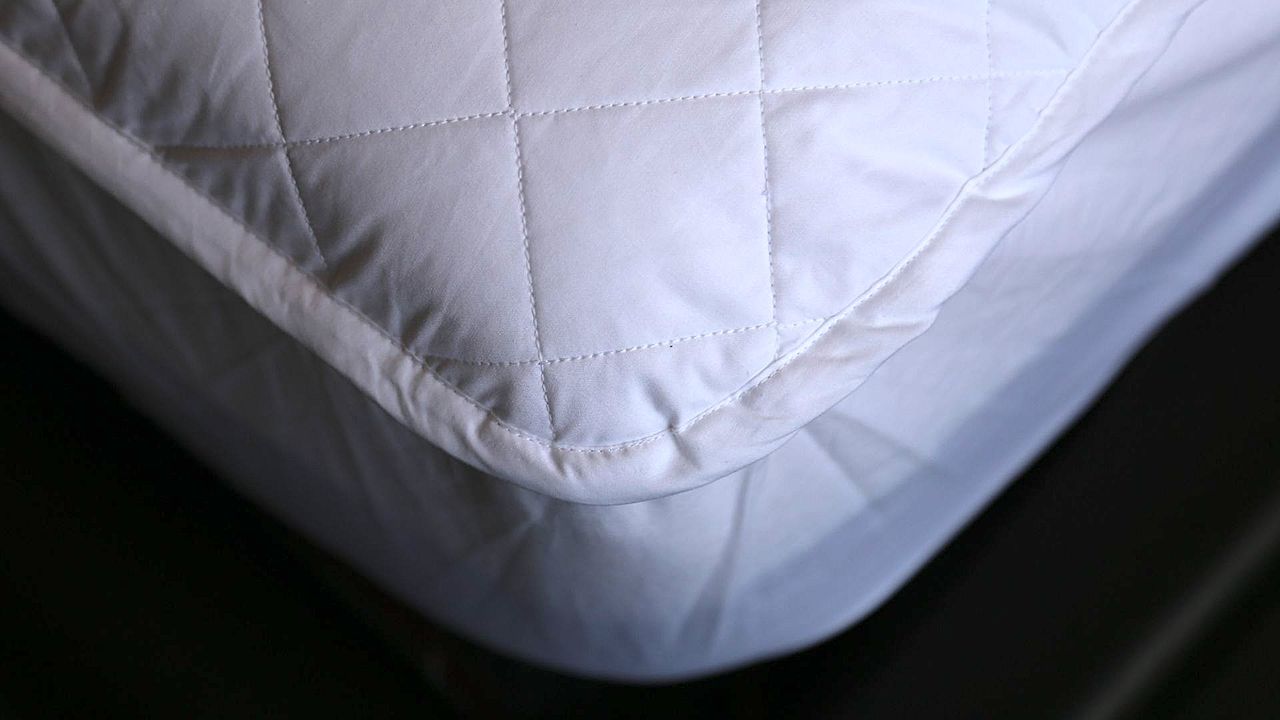 Scooms 100% Pure Cotton mattress protector