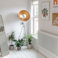 radiator in white room with plants