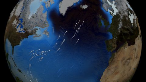 Ice Age Reboot Ocean Current Shutdown Viewed As Culprit Live Science