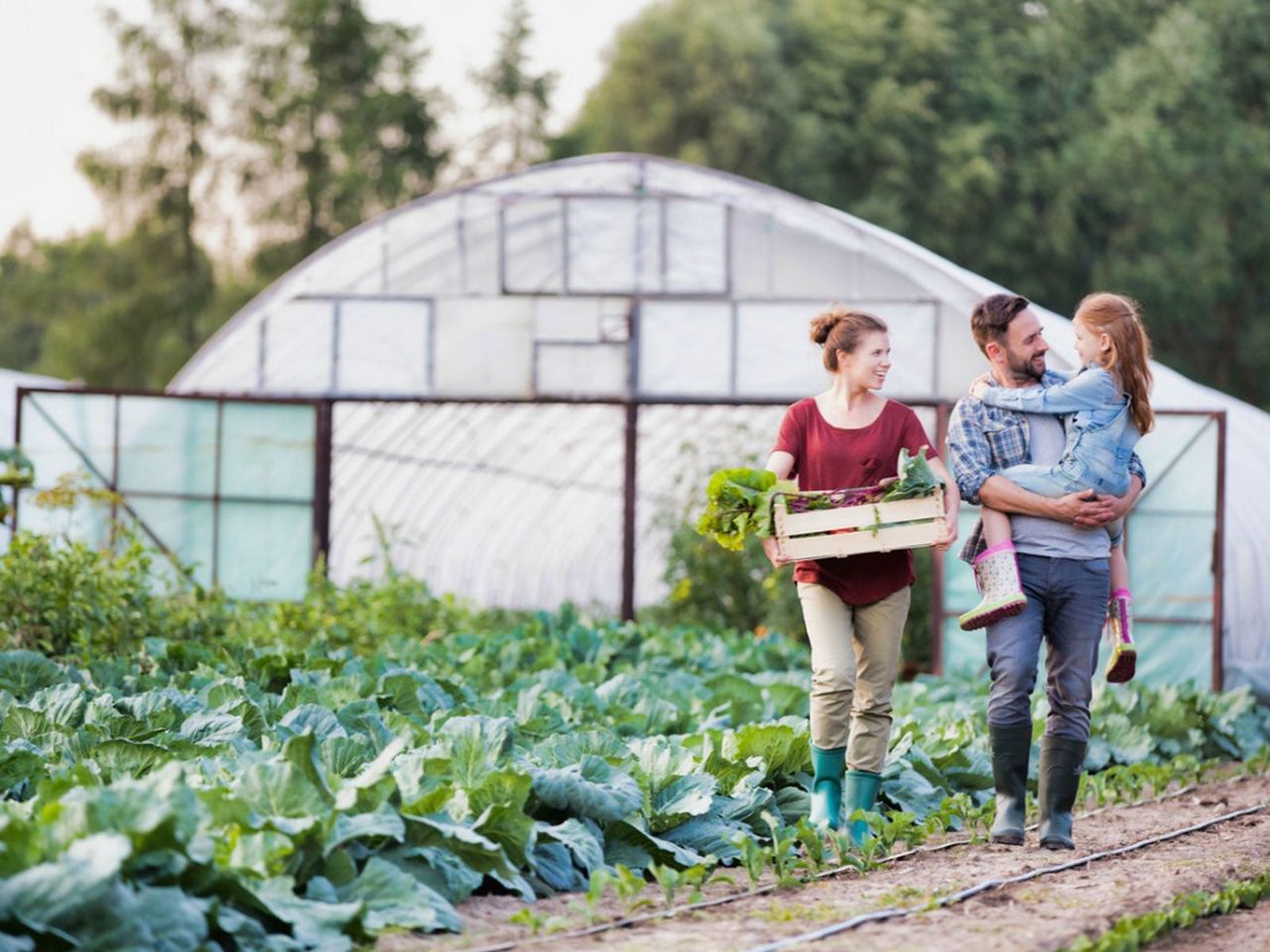 A Family Walking Along A Green Leafy Garden Infront Of Large Green House