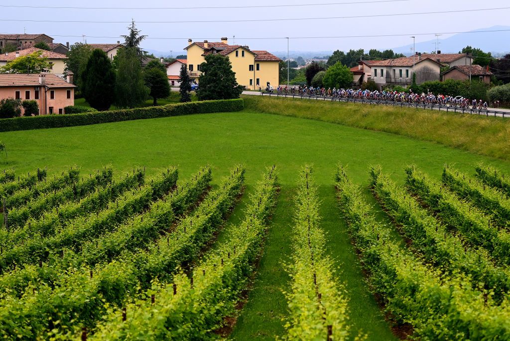 TREVISO ITALY MAY 26 A general view of the peloton passing through a vineyards landscape during the 105th Giro dItalia 2022 Stage 18 a 156km stage from Borgo Valsugana to Treviso Giro WorldTour on May 26 2022 in Treviso Italy Photo by Tim de WaeleGetty Images