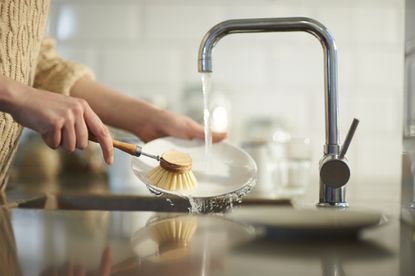 A person standing by a sink washing a plate under running water.