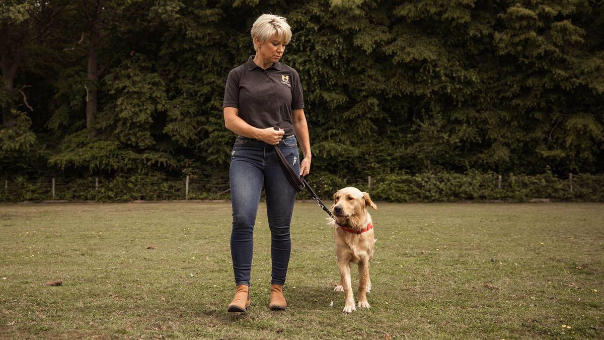 View of What I wish people knew about aggressive and anxious dogs | PetsRadar