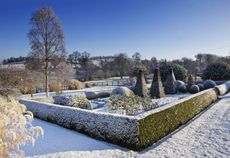 A model winter garden? Pettifers, Oxfordshire.