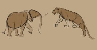 How to draw animals: 13