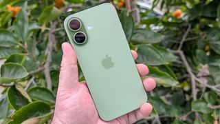 Sage iPhone 17 in hand