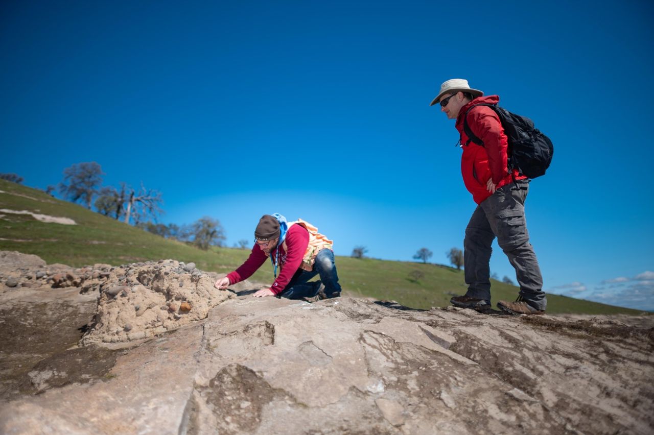 the fossil site where dozens of ancient beasts were unearthed.