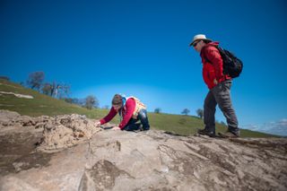 the fossil site where dozens of ancient beasts were unearthed.