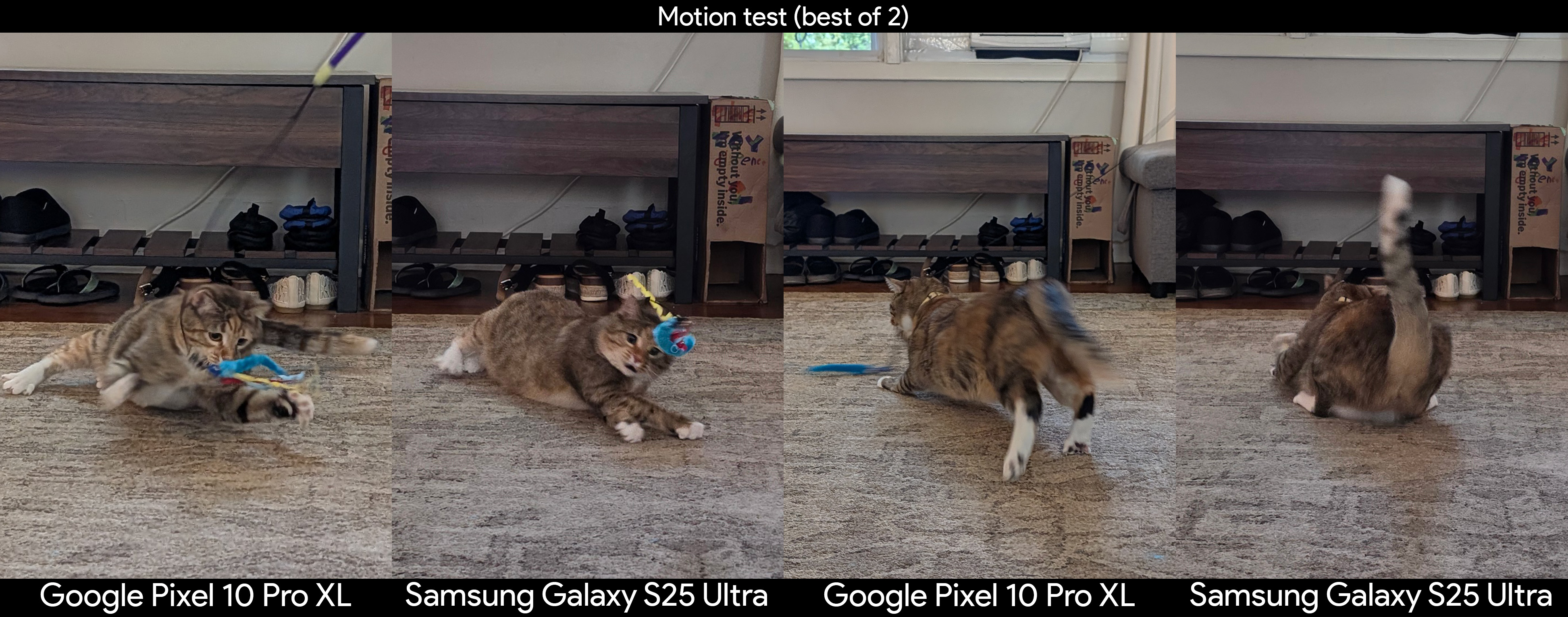 Comparing camera motion capture with photos of a cat, captured on a Google Pixel 10 Pro XL and a Samsung Galaxy S25 Ultra
