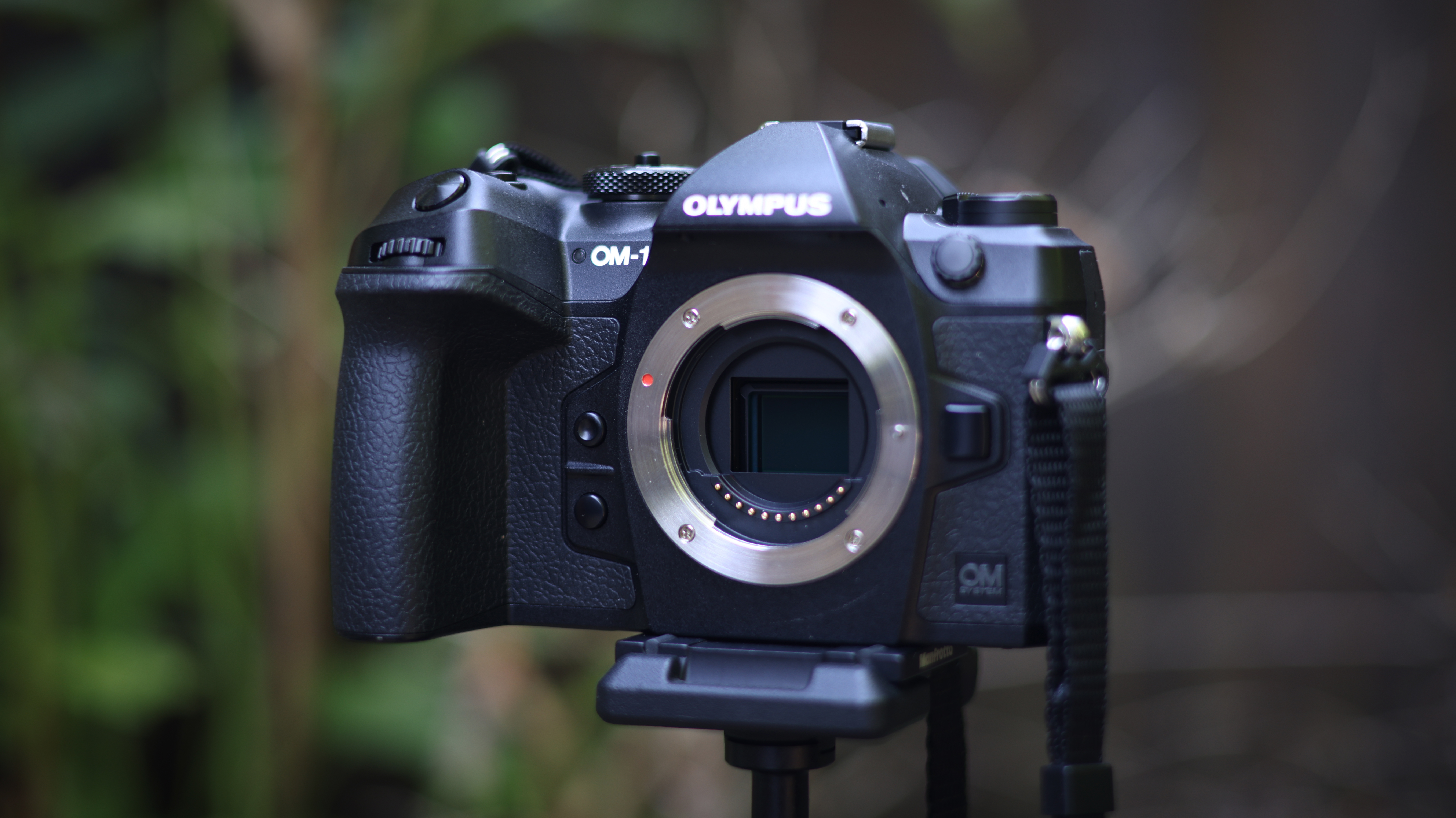 The OM System OM-1 camera body, against a woodland background
