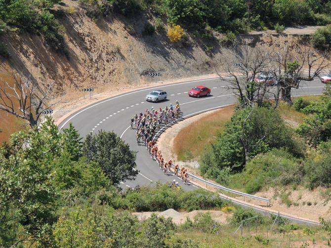 Peloton in Bemibre's landscape