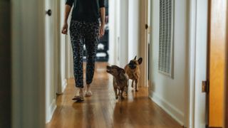 Woman and dogs in hallway