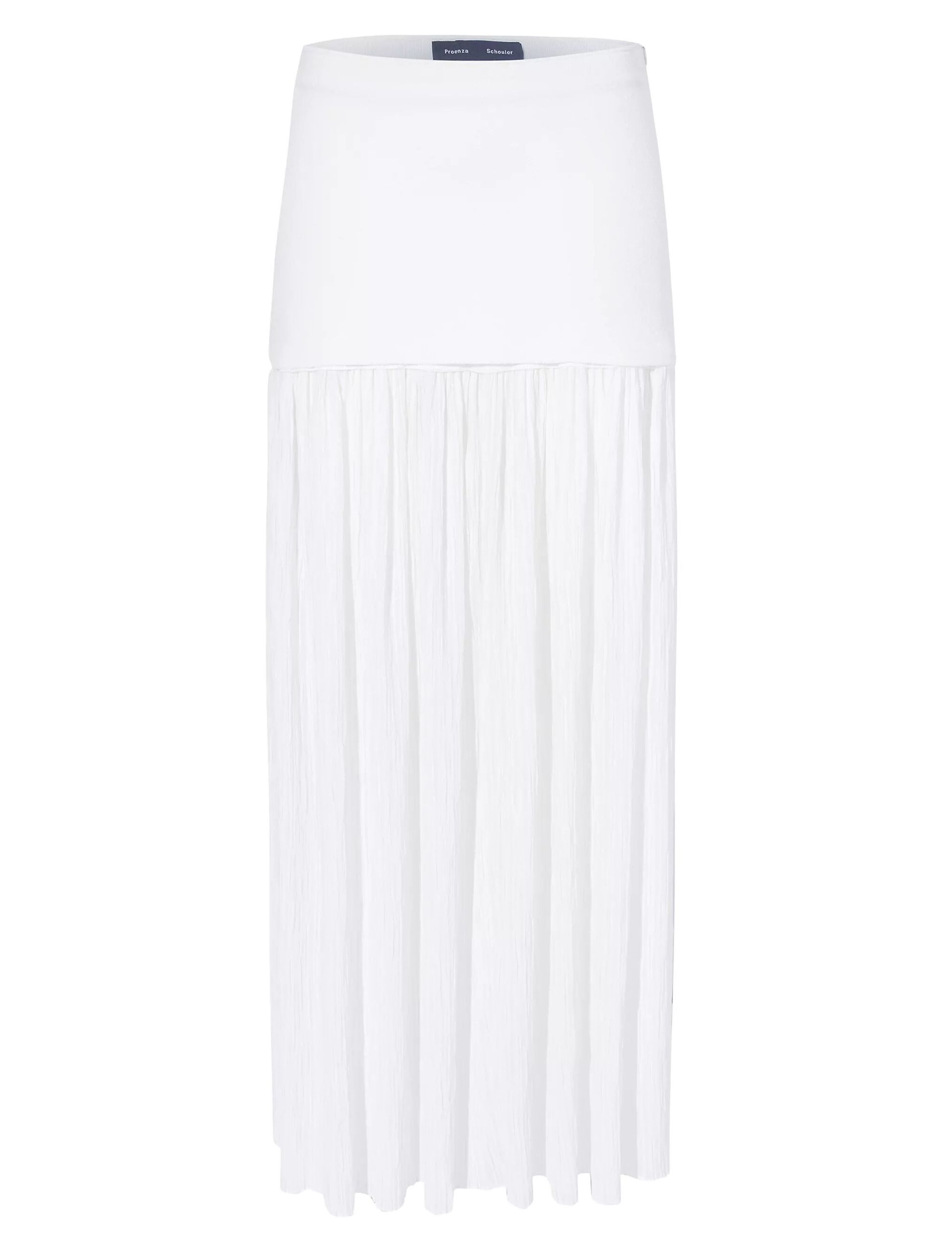 Paige Pleated Crêpe Chiffon Maxi Skirt