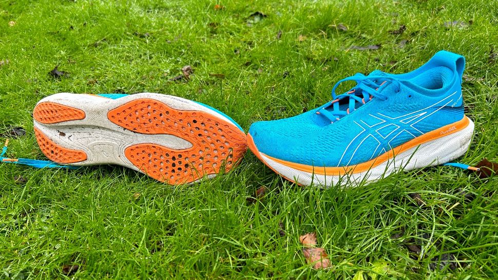 nike pegasus 36 vs asics nimbus 22