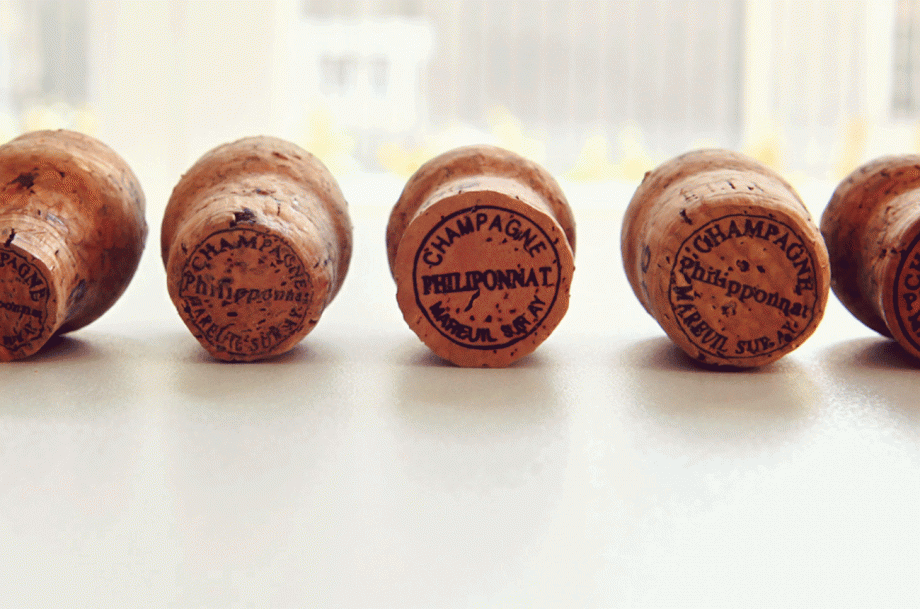 Clos des Goisses 2014