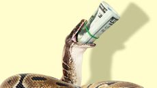 Illustration of a python swallowing a roll of dollar bills