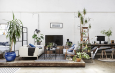 Open plan studio apartment with white walls and a collection of house plants