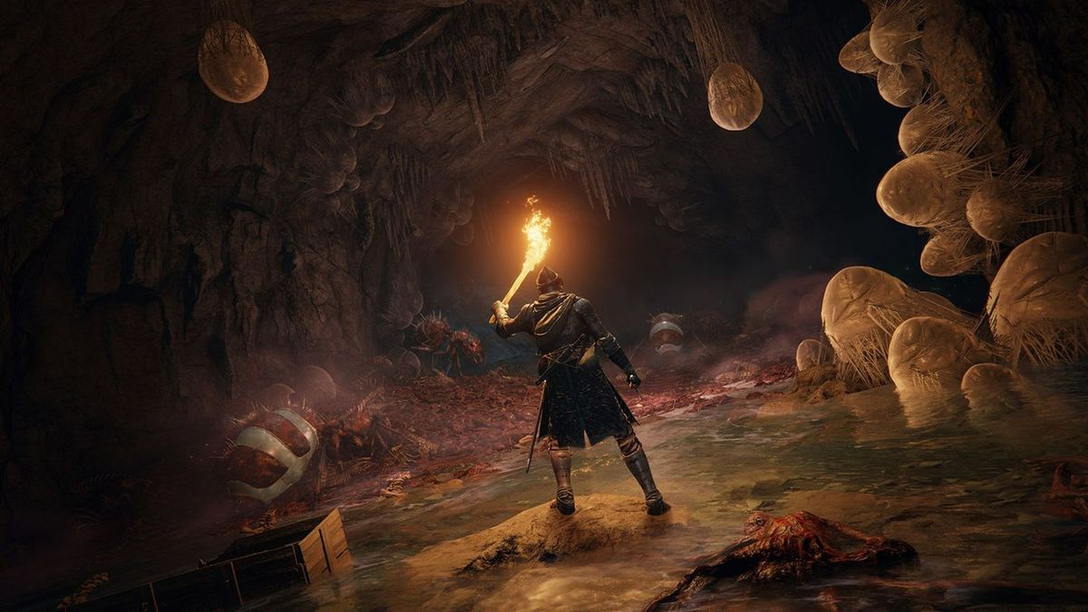 After Elden Ring's DLC, FromSoftware's Next Magical Game Might Be