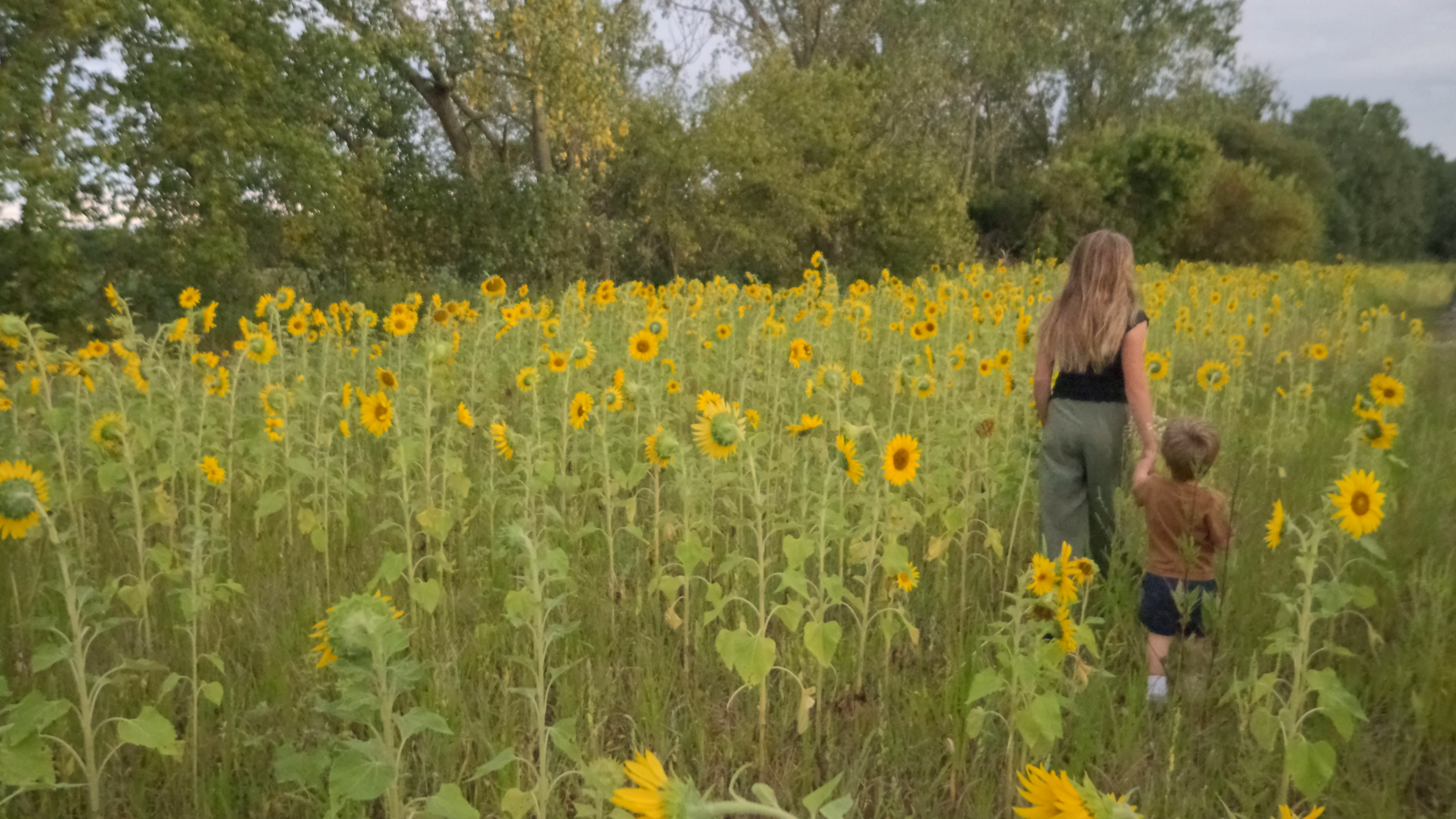 A screen grab from 4K footage showing ISO 1600