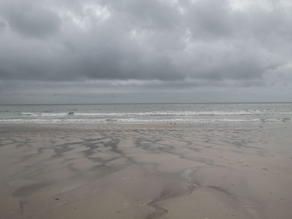 Sample images taken with the Hasselblad X2D II 100C