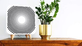 best fan: Blueair Blue Pure Purifying Fan