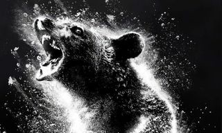 Prime Video movie of the day: Cocaine Bear is the best film about a bear on cocaine you'll watch today