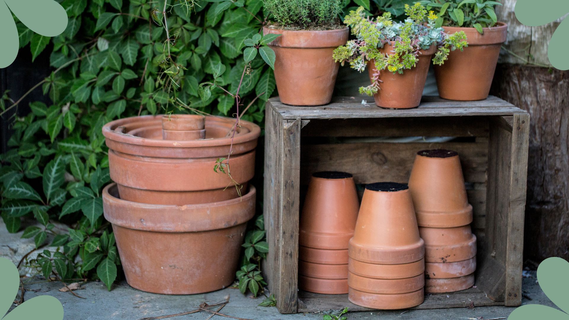 picture of terracotta pots with plants in them and empty ones stacked 