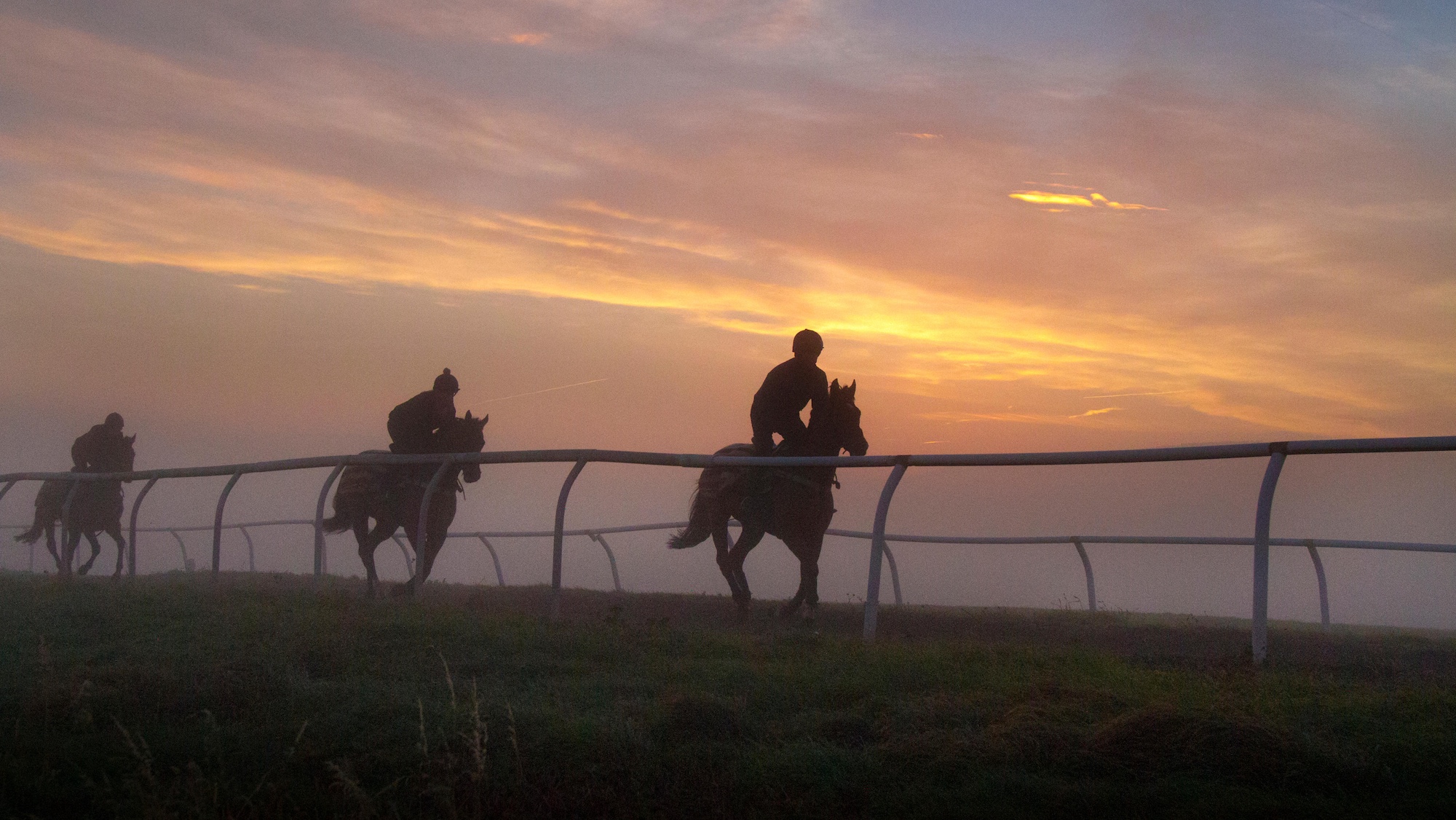 Racehorses on the gallop at sunrise