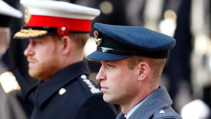 Prince William and Prince Harry in profile in military uniform
