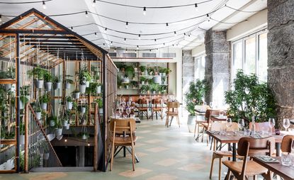 Restaurant with wooden chairs and table and potted plants