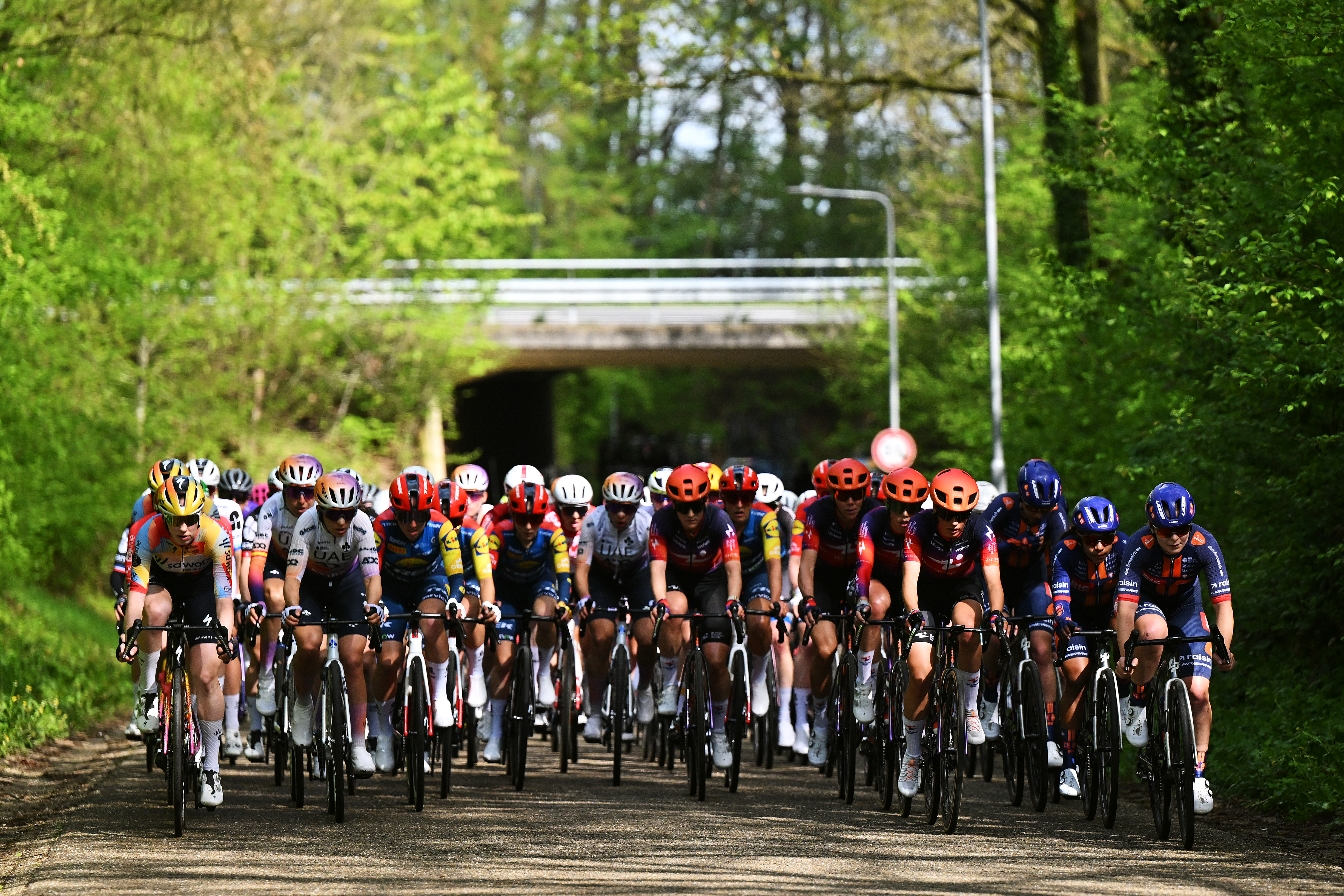 The peloton competing during the 12th Amstel Gold Race Ladies Edition 2026 (Photo by Luc Claessen/Getty Images)