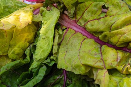 swiss chard leaves