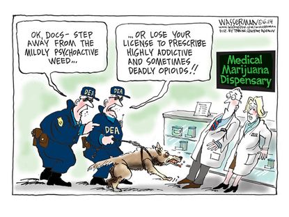 Editorial cartoon medical marijuana