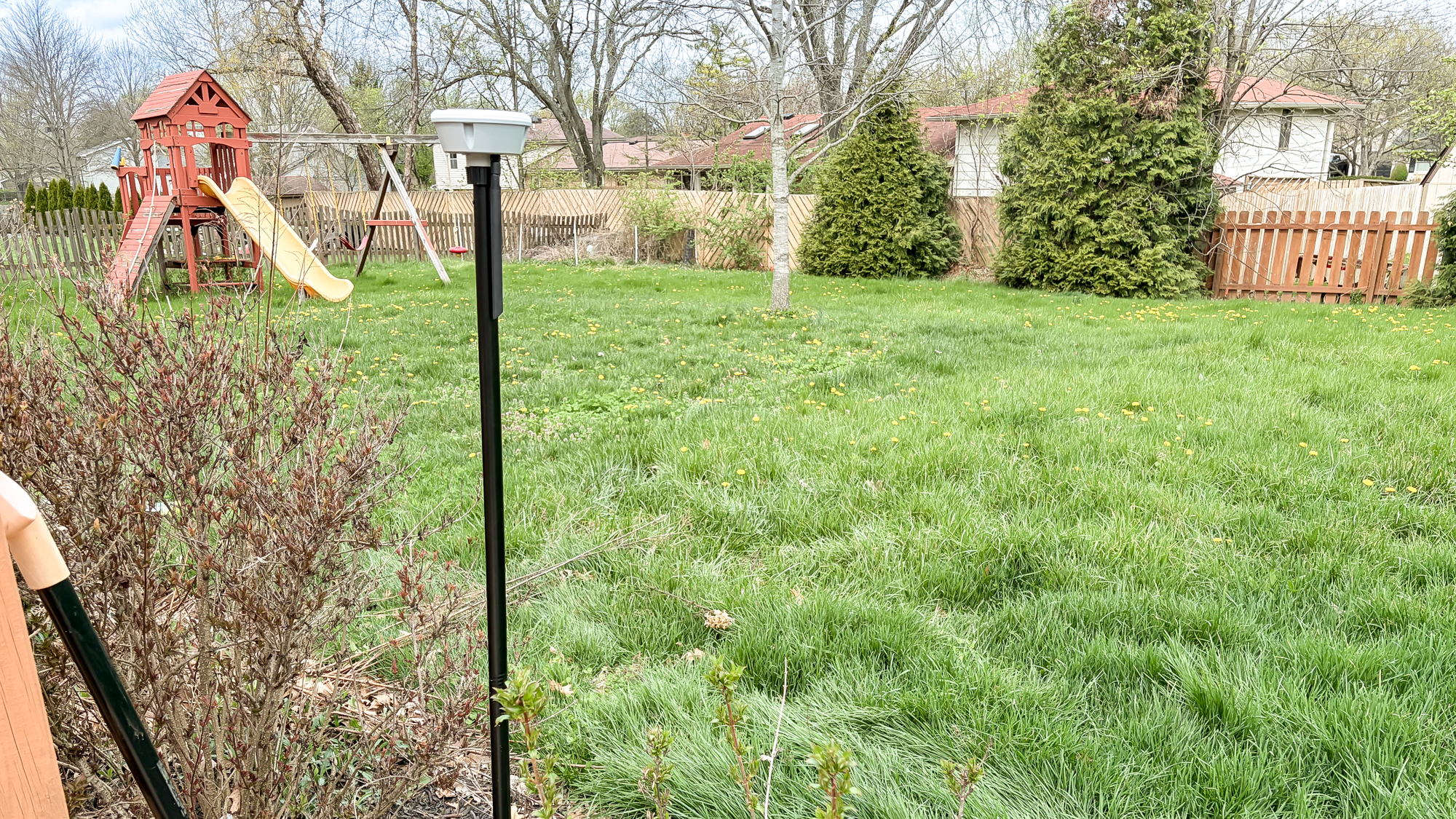 Lawn before being mowed by Lymow One Plus robot mower