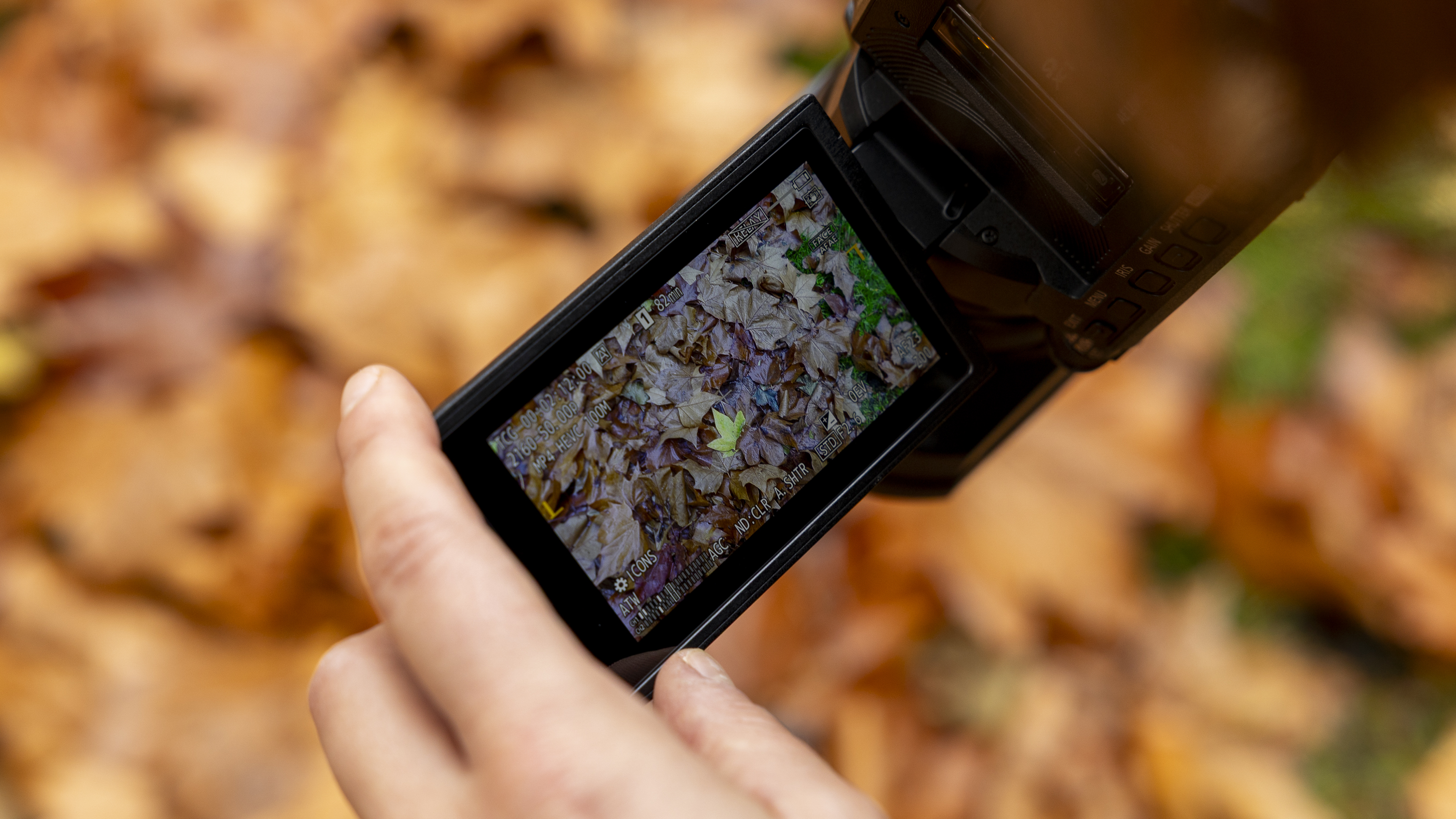The Panasonic HC-X1200 camcorder held by a female photographer against an orange autumnal backdrop