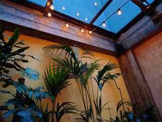 Sony Xperia 5 II camera samples