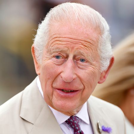 King Charles wearing a tan suit and smiling