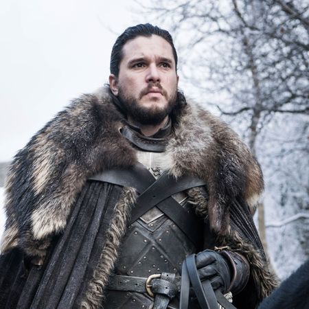 Fur, Fur clothing, Outerwear, Fashion, Beard, Facial hair, Knight, Viking, Winter, Middle ages, 