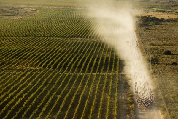 Racing through the vineyards during stage 3 of the Cape Epic