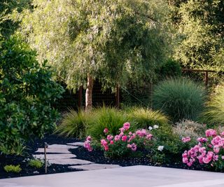 Garden pathway with pink shrub roses and trees