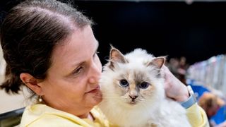 Lady cuddling Birman cat