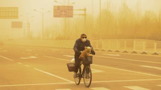A man wearing a protective mask cycles with his dog during the sandstorm in Beijing, China.