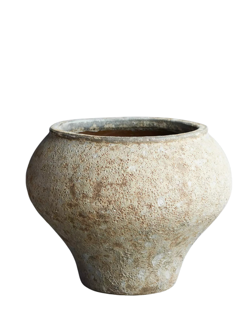 Barnacle Vase Planter