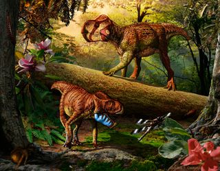 Unescoceratops koppelhusae (upper right) and Gryphoceratops morrisonii (lower left), new leptoceratopsid dinosaurs from Alberta, Canada.
