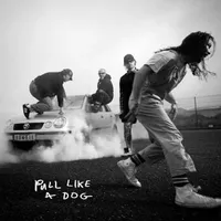 The Scratch - Pull Like A Dog The Scratch - Pull Like A Dog