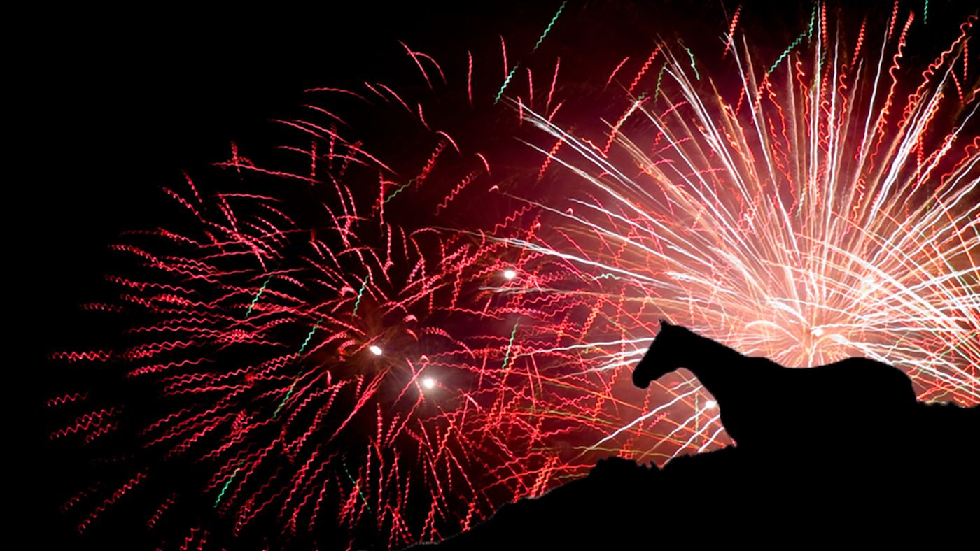 The time is now: the Government finally asks for your thoughts on how fireworks affect horses, other animals and people