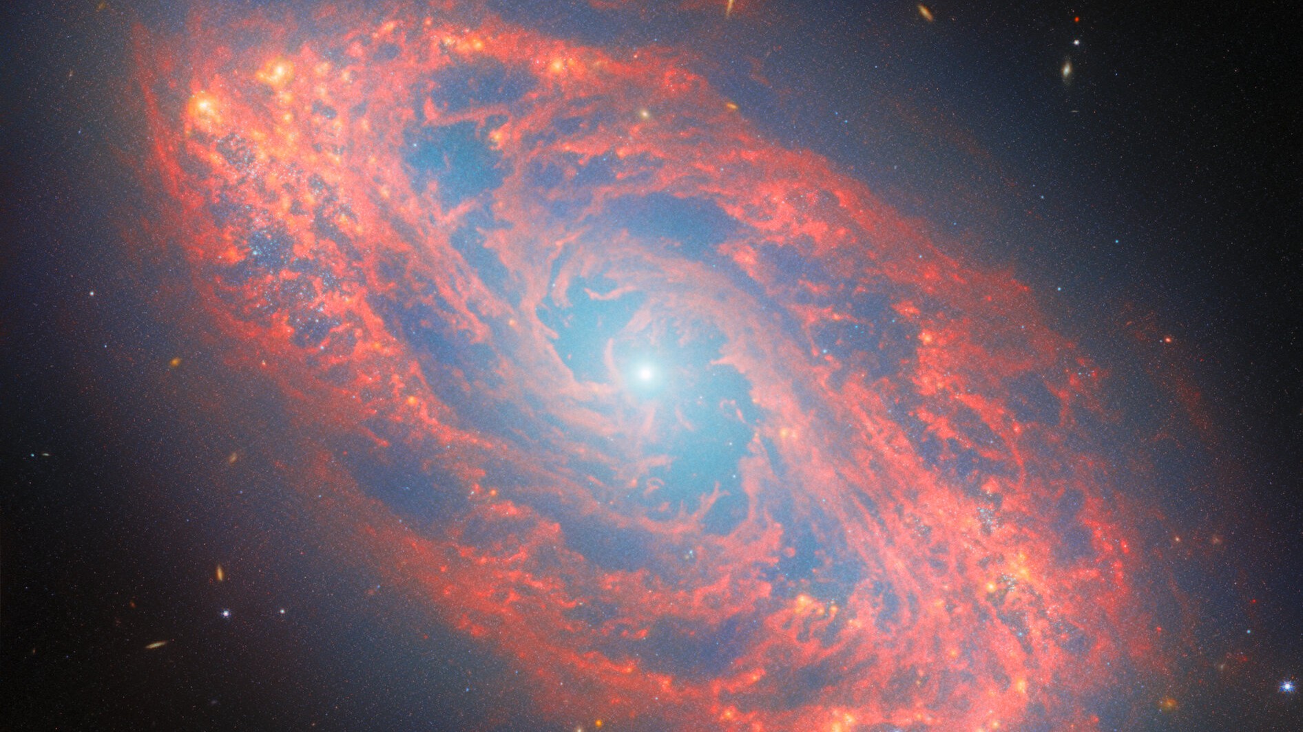 an impressive red spiral structure with a bright point of light at the very center.