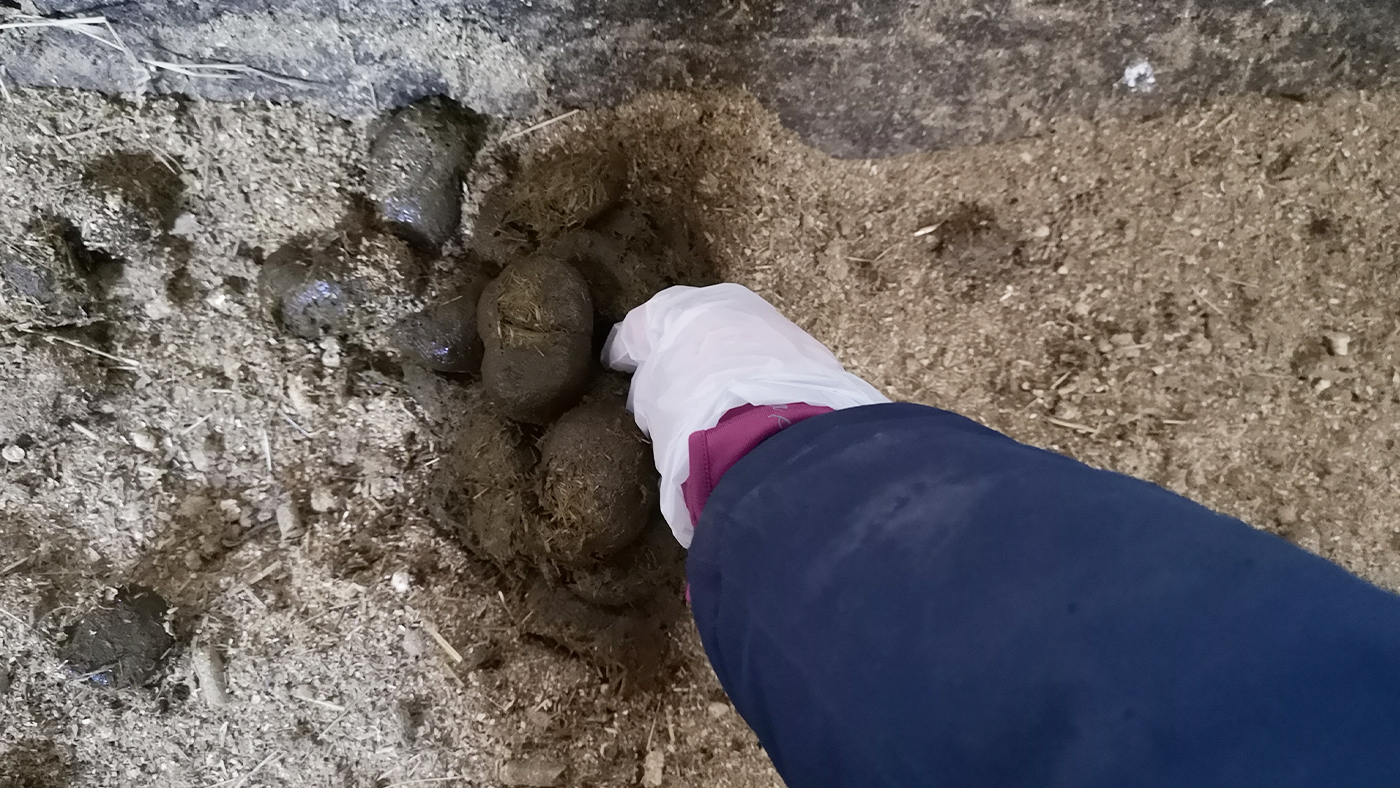 Collecting sample for testing using glove