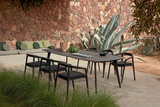 outdoor dining set with large cacti in background