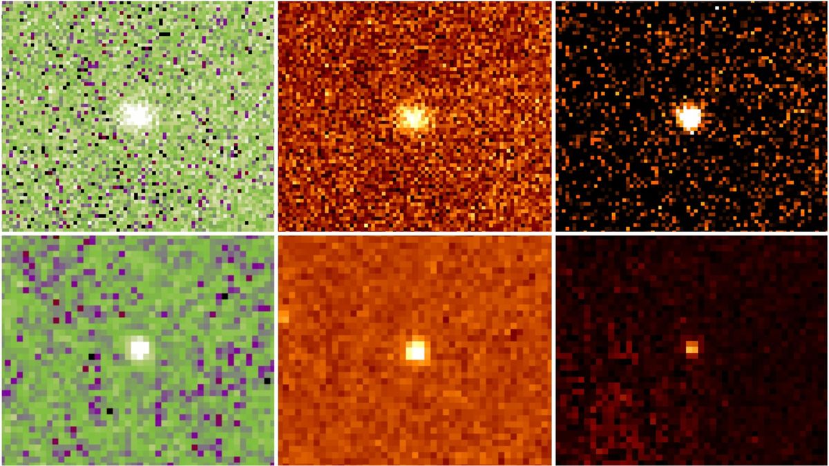 Telescope images of Neptune&#039;s rare red asteroids taken with taken with the Palomar 200-inch, Gemini and Keck telescopes